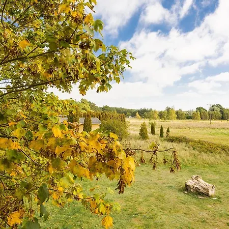 База отдыха Am Darss Fuhlendorf (Mecklenburg-Vorpommern)
