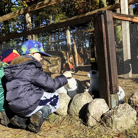 Am Darss Fuhlendorf (Mecklenburg-Vorpommern)