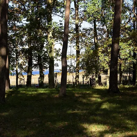 База отдыха Am Darss *